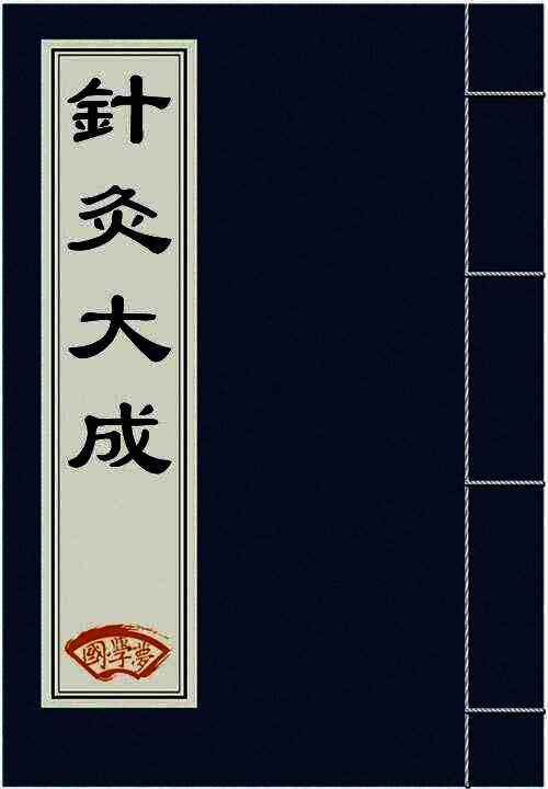 针灸大成
